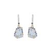 DIVE IN EARRINGS