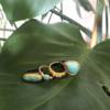 LUNA RING - Image 4