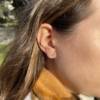 BUTTERFLY VALLEY STUDS - Image 2