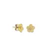 BUTTERCUP STUDS