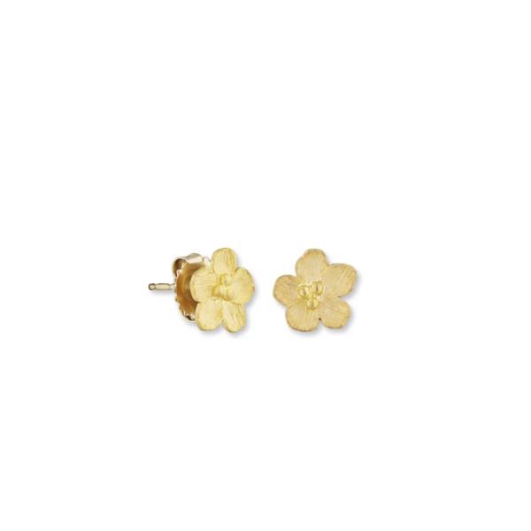 BUTTERCUP STUDS