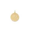 MOON AND STARS MEDALLION