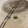 MIXED METAL CHAIN DOUBLE LINK - Image 2