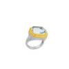HERA RING