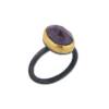 KARIN RING