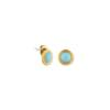 SWEET SONORAN SUNSHINE STUDS