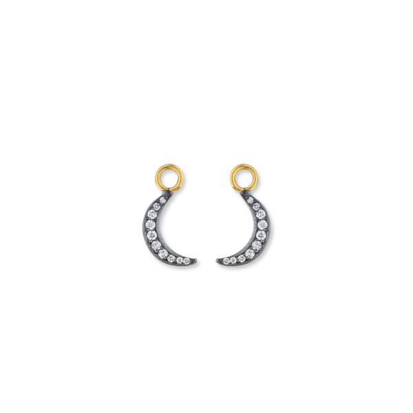 NEW MOON NEW HOPE EAR CHARMS