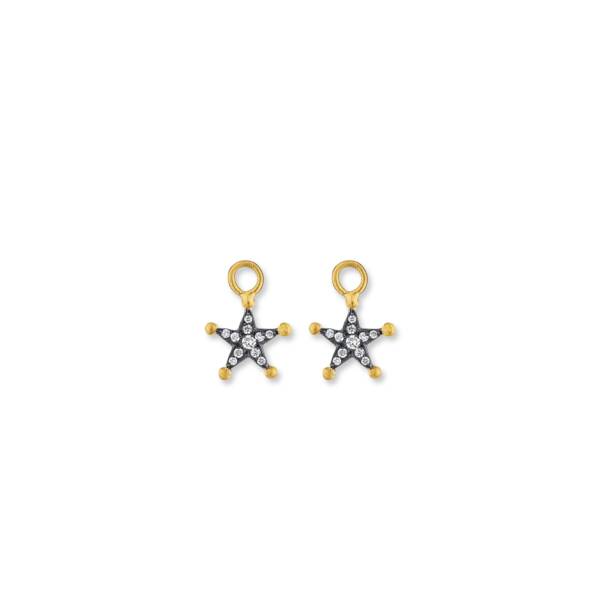 STAR EAR CHARMS