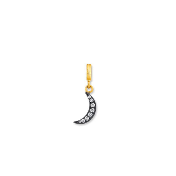 NEW MOON NEW HOPE SMALL  CHARM