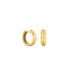 DIANA 15MM HOOPS