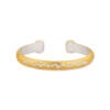 STOCKHOLM MOUNTAIN RANGE KICK CUFF W/DIA