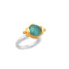 EARTH & SKY ROTATING RING